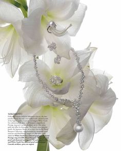 White Flowers Photography, Jewellery Styling, Jewellery Photography, Jewelry Styling, Diamond Fashion Jewelry, Mikimoto Pearls