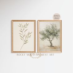 two framed paintings depicting an olive tree and the words rocky mountain west art above them