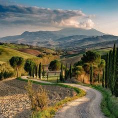 a dirt road with trees and mountains in the background