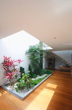 the interior of a house with wooden floors and plants on display in front of it