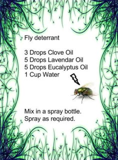 Homemade Fly Spray, Bug Spray Recipe, Fly Spray, Oil Remedies, Essential Oil Diffuser Blends, Doterra Oils, Oil Diffuser Blends, Oil Uses, Aromatherapy Oils