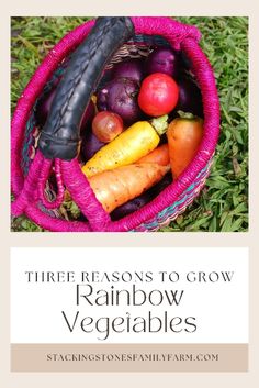 a basket full of vegetables with the title three reasons to grow rainbow veggies