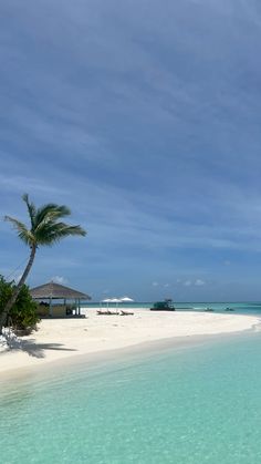 an empty beach with palm trees in the water