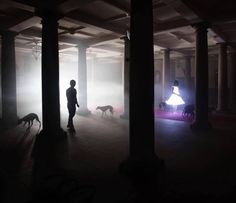 a person standing in the middle of a dark room with two dogs walking behind them