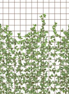 green leaves are growing on the side of a wire mesh fence, with white squares in the background