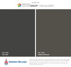 the color scheme for colorsnap visualizer is shown in blue and gray, with two