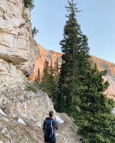 a person with a backpack is walking up a mountain trail near some rocks and trees