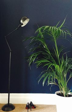 a pair of high heeled shoes sitting on the floor next to a potted plant