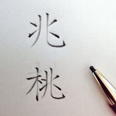 the writing is written in chinese and it appears to be inked on paper with a fountain pen