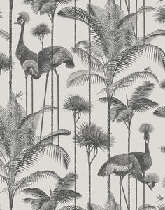 a wallpaper with an image of birds and palm trees in black and white colors