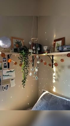 a bedroom with hanging plants and pictures on the wall above it, along with other decorations