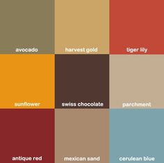 the color scheme for different shades of chocolate