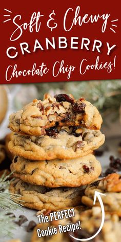 soft and chewy cranberry chocolate chip cookies are the perfect cookie recipe for christmas