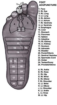 American Acupuncture - The sole connects with all the deep organs ... Reflexology Foot Chart, Foot Reflexology Massage