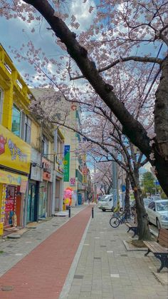 a city street lined with parked cars and cherry blossom trees