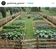 a garden with many different types of plants