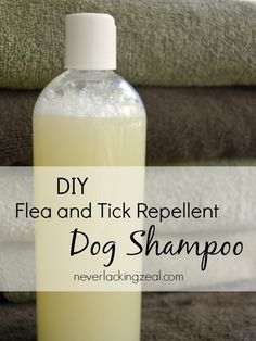 a bottle of dog shampoo sitting on top of a couch with the words diy flea and tik repellent dog shampoo