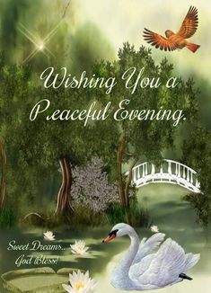 a white swan floating on top of a lake next to a bridge and flowers with the words wishing you a peaceful evening