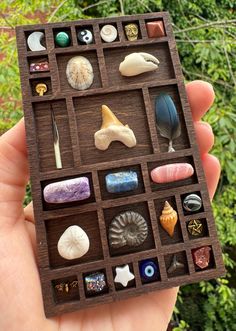 a hand holding a wooden box filled with different types of rocks and seashells