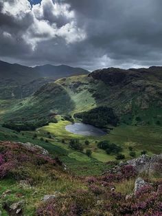 a lake in the middle of a lush green valley with purple flowers on the ground