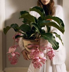 a woman holding a potted plant with pink flowers