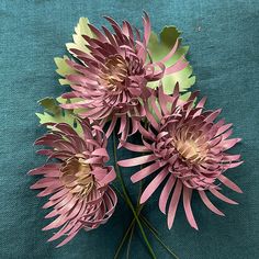 some pink flowers are sitting on a blue cloth