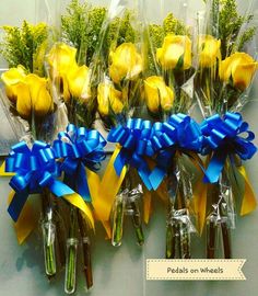 yellow roses are tied with blue ribbon and placed in clear vases on the wall