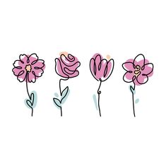 four pink flowers on a light background