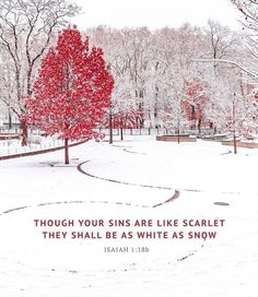 a red tree in the middle of a snowy park with a bible verse on it