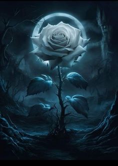 a white rose sitting on top of a tree in front of a moon filled sky