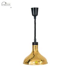 a gold colored light fixture with a black cord hanging from the top and bottom, on an isolated white background