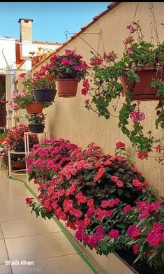 many potted flowers are hanging on the side of a building with no one in it