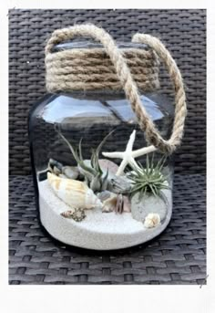 an air plant in a glass jar with rope