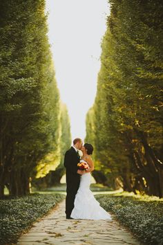 a bride and groom standing in the middle of an alley with tall trees on either side