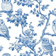 blue and white wallpaper with owls sitting on branches