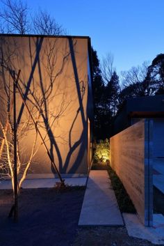 an outdoor walkway leading to a building with trees in the foreground and lights on