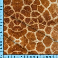 a giraffe's fur is shown with a ruler in front of it