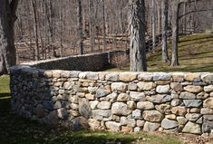 a stone wall in the middle of a forest