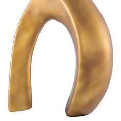 a large brass colored object with an oval shape on the front and back end, against a white background