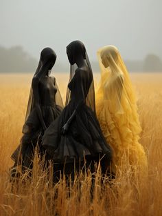 three women dressed in black and yellow are standing in the middle of a wheat field