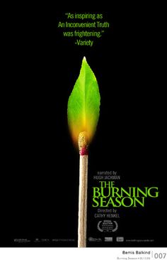 the burning season poster with a matchstick sticking out of it