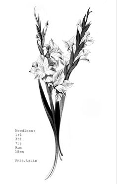 Тату гладиолусы цветы Sketches Inspiration, Gladiolus Tattoo, Work Aesthetic, Stencil Outline, Gladiolus Flower, Woman Design, Aesthetic Tattoo, Sketch Inspiration, Design Drawings