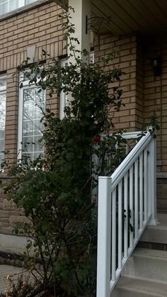 a house with white railing and red flowers in front