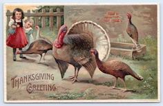 an old thanksgiving postcard with two turkeys and three children in the back ground