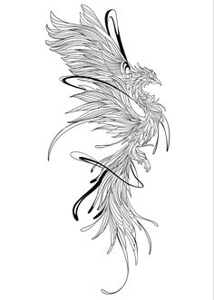 a black and white drawing of a bird with long wings on it's back