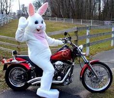 The Easter bunny on a Harley Bunny Helmet, Biker Boy, Easter 2023, Biker Boys, Biker Art, Netflix Account, The Easter Bunny, Easter Humor