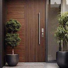 two potted plants sit in front of a wooden door with glass panels on the side