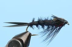 a black and red fly flies through the air on a blue sky background with gold tipped tips