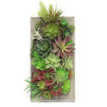 an arrangement of succulents and plants in a wooden frame on the wall