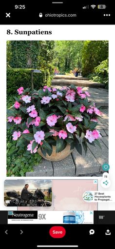 a flower pot with pink flowers in it